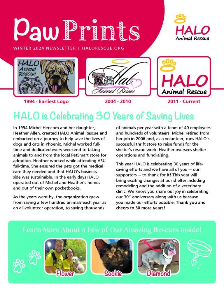 Read more about the article 2024 Winter Newsletter