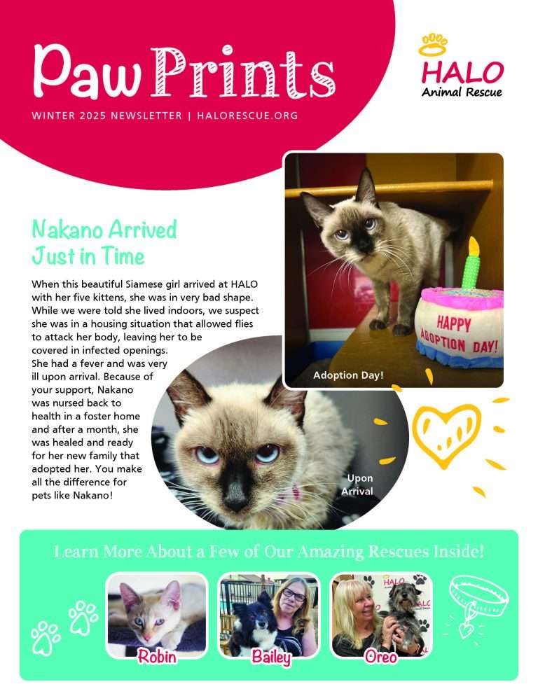 Read more about the article 2025 Winter Newsletter