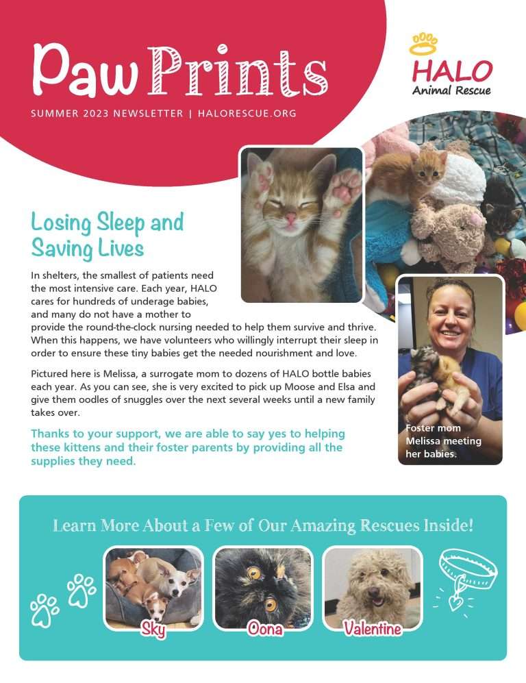 Read more about the article 2023 Summer Newsletter